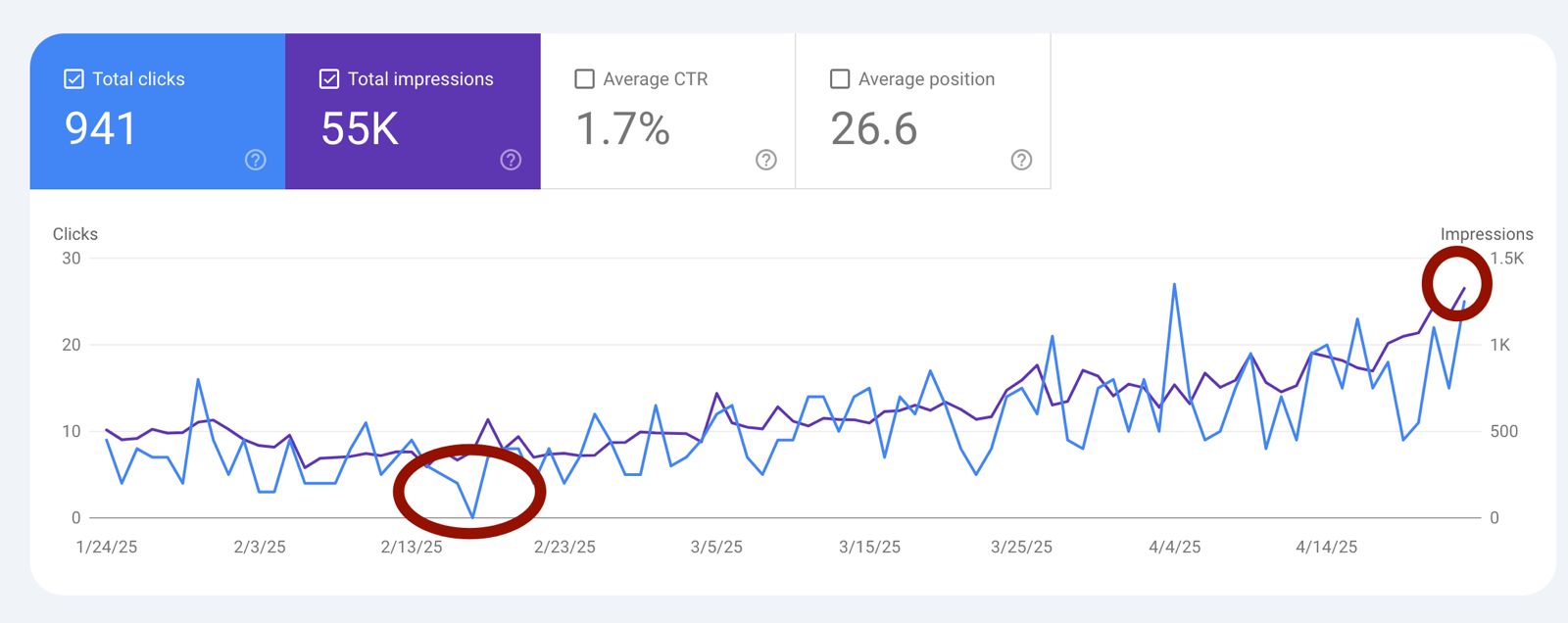 SEO Team